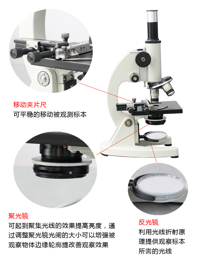 怎样给孩子选购最合适的学生显微镜？