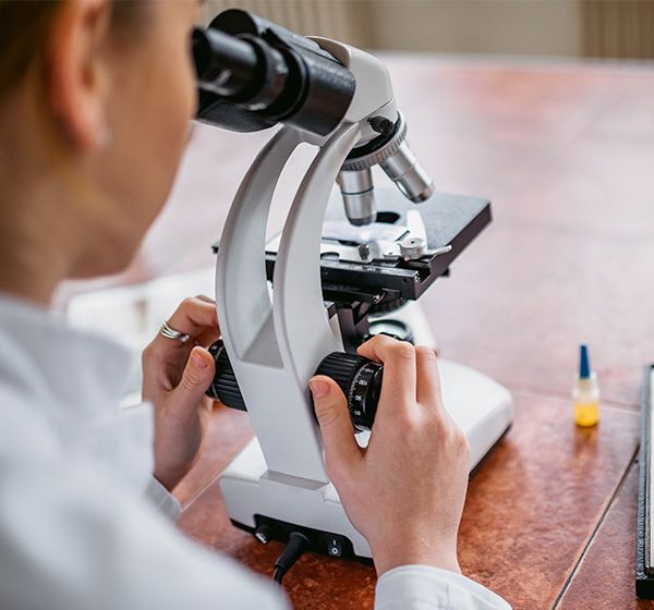 生物显微镜使用当中需要注意哪些步骤？