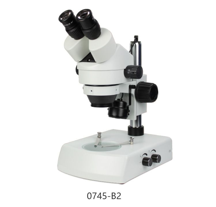 体视显微镜的应用领域有哪些？