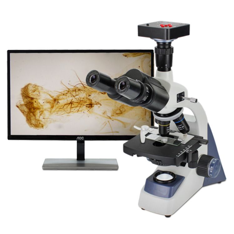 XSP500型系列生物显微镜